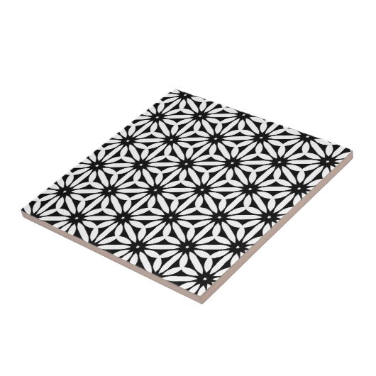 elegante schwarze Fliesen (Seite)