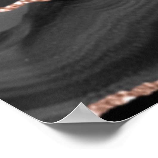 Elegante Schwarze Rose Poster (Ecke)