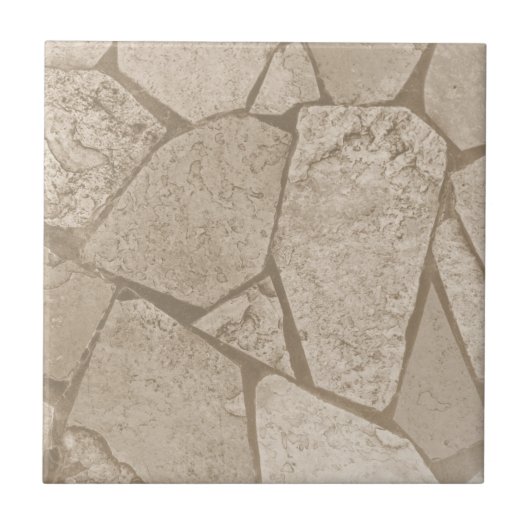 Elegante Sepia Toned Cracked Stones Fliese (Vorderseite)