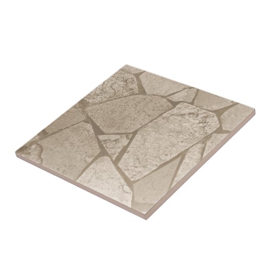 Elegante Sepia Toned Cracked Stones Fliese (Seite)