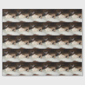 Elegante siamesische Katze Geschenkpapier (Flach)