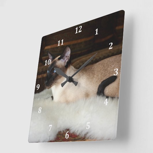 Elegante siamesische Katze Quadratische Wanduhr (Winkel)