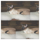 Elegante siamesische Katze Stoff (Nahaufnahme)