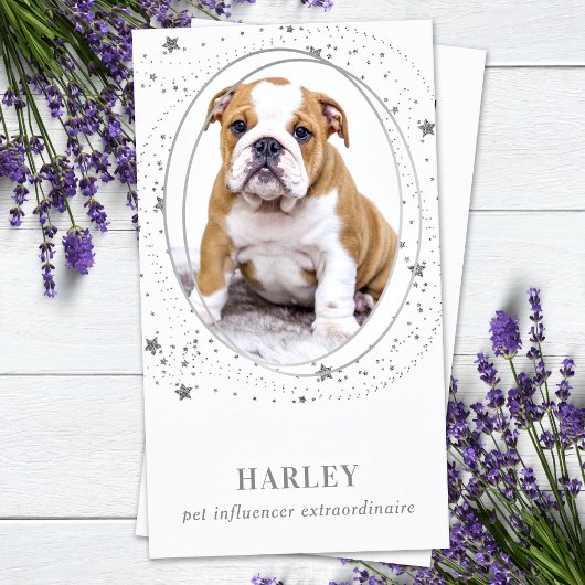 Elegante Silver Stars Custom Foto QR Social Media Visitenkarte