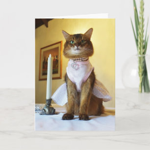 Elegante Somali-Katze Einladung, Party oder Gruß Karte
