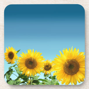 Elegante Sonnenblumen auf himmelblauem Hintergrund Getränkeuntersetzer