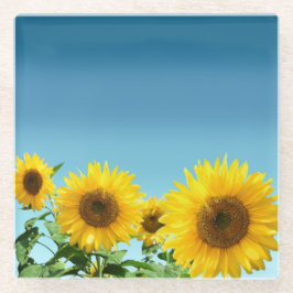 Elegante Sonnenblumen auf Sky Blue Shades Glasuntersetzer