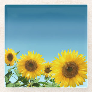 Elegante Sonnenblumen auf Sky Blue Shades Glasuntersetzer