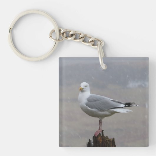 Elegante stehende Möwe Einzigartige Küste Schlüsselanhänger (Vorderseite)