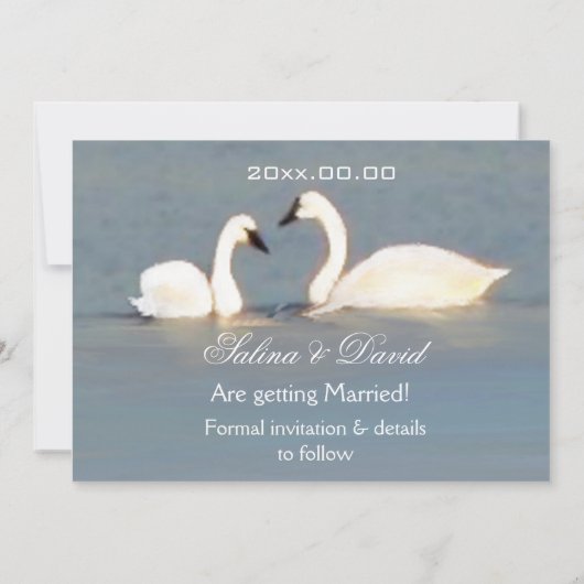 Elegante Swans Ankündigung Datum freihalten (Rückseite)