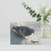 Elegante Taube Postkarte (Stehend Vorderseite)