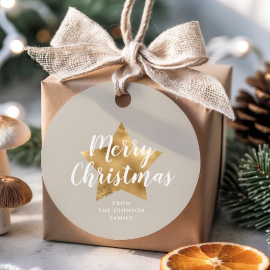 Elegante Taupe Gold Star Weihnachten Geschenkanhänger