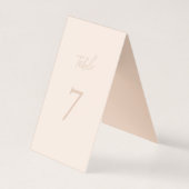 Elegante Terracotta San Salvatore - der Zuckerhut  (Rückseite)