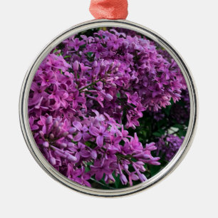 Elegante, tief violett-magenta-farbene Blumen, Fli Ornament Aus Metall