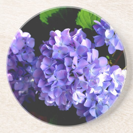 Elegante tiefe lila Blume Hydrangea Sandstein Untersetzer (Vorne)