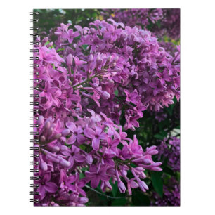 Elegante tiefe lila magentafarbene Blumen Blume li Notizblock
