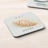 Elegante Tropical Junonia Florida Beach Muschel Na Getränkeuntersetzer (Linke Seite)