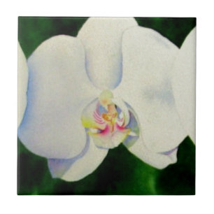 Elegante tropische weiße Aquarell-Orchideen-Malere Fliese