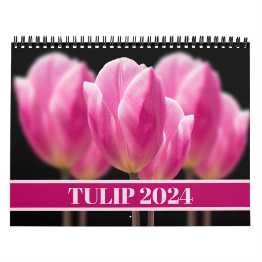 Elegante Tulip und Rose Floralische Blume Fotograf Kalender (Titelbild)