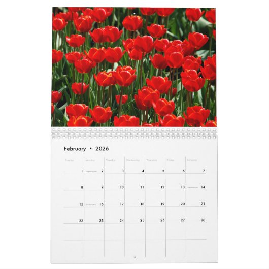 Elegante Tulip und Rose Floralische Blume Fotograf Kalender (Feb 2026)