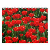 Elegante Tulip und Rose Floralische Blume Fotograf Kalender (Titelbild)
