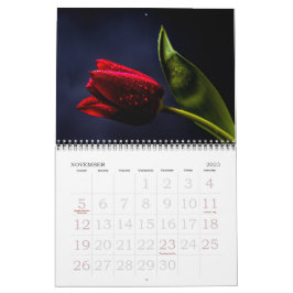Elegante Tulip und Rose Floralische Blume Fotograf Kalender