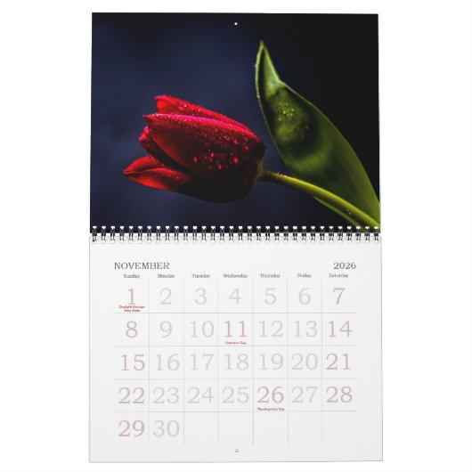 Elegante Tulip und Rose Floralische Blume Fotograf Kalender (Nov 2026)