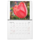 Elegante Tulip und Rose Floralische Blume Fotograf Kalender (Feb 2026)