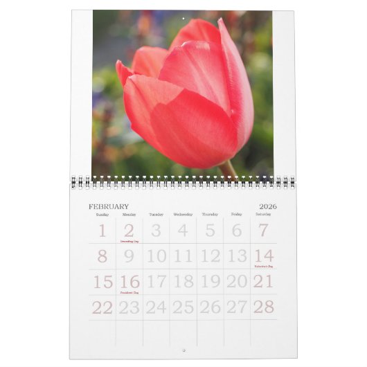 Elegante Tulip und Rose Floralische Blume Fotograf Kalender (Feb 2026)