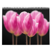 Elegante Tulip und Rose Floralische Blume Fotograf Kalender (Titelbild)