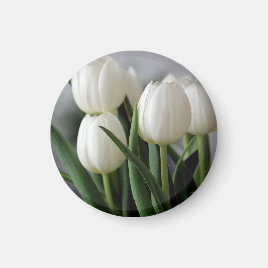 Elegante Tulip und Rose Floralische Blume Fotograf Magnet (Vorne)