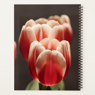 Elegante Tulip und Rose Floralische Blume Fotograf Planer