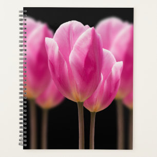 Elegante Tulip und Rose Floralische Blume Fotograf Planer