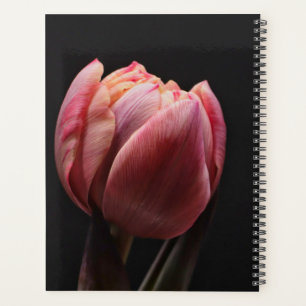 Elegante Tulip und Rose Floralische Blume Fotograf Planer
