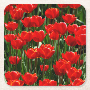 Elegante Tulip und Rose Floralische Blume Fotograf Rechteckiger Pappuntersetzer