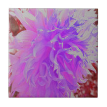 Elegante ultraviolette Dekorative Dahlia-Blume