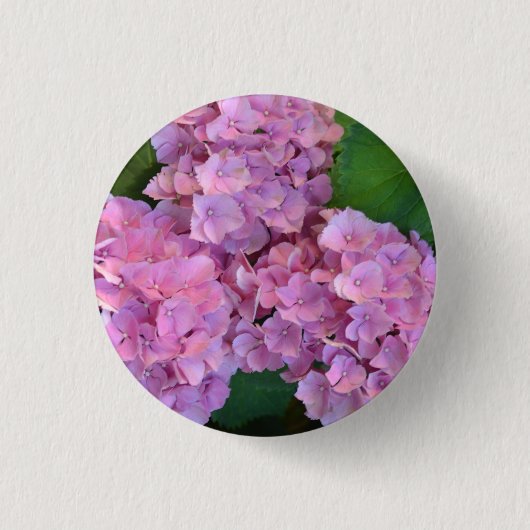 Elegante und rustikale Hortensie Hydrangea macroph Button (Vorderseite)