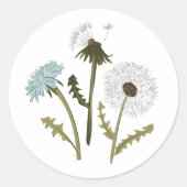 Elegante und whimsical Dandelion-Blume Runder Aufkleber (Vorderseite)