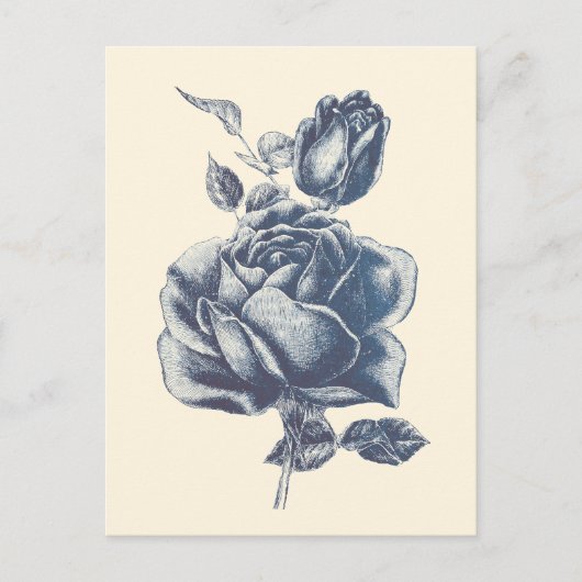 Elegante Vintag Blue Rose Postkarte (Vorderseite)