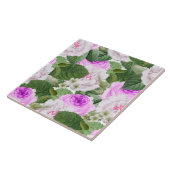 Elegante Vintag Garden Rose Fliese (Seite)