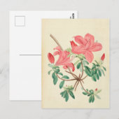 Elegante, Vintag rosa, florale Postkarte (Vorne/Hinten)