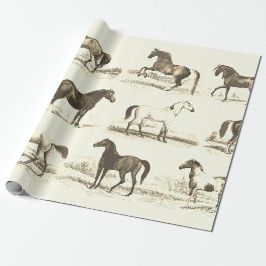 Elegante, Vintage Beige Geschenkpapier (Ungerollt)