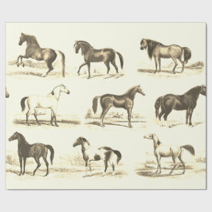 Elegante, Vintage Beige Geschenkpapier