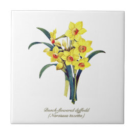 Elegante Vintage botanische Blume Gelbe Daffodien Fliese