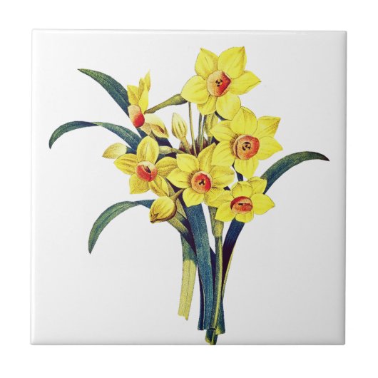 Elegante Vintage botanische Blume Gelbe Daffodien Fliese (Vorderseite)