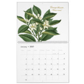 Elegante Vintage botanische Blume Kalender (Jan 2027)