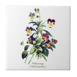Elegante Vintage botanische Blume Pansy Fliese