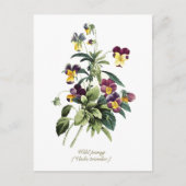 Elegante Vintage botanische Blume Pansy Postkarte (Vorderseite)
