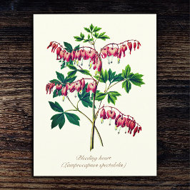 Elegante Vintage botanische Blutungen Herz Blume Postkarte