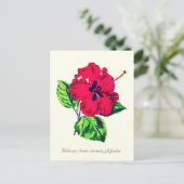 Elegante Vintage botanische Hibiskus-Blume Postkarte (Stehend Vorderseite)